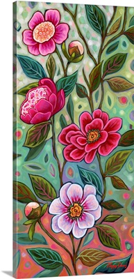 Peonies 1