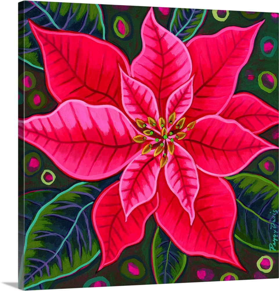 Pink Poinsettia 1