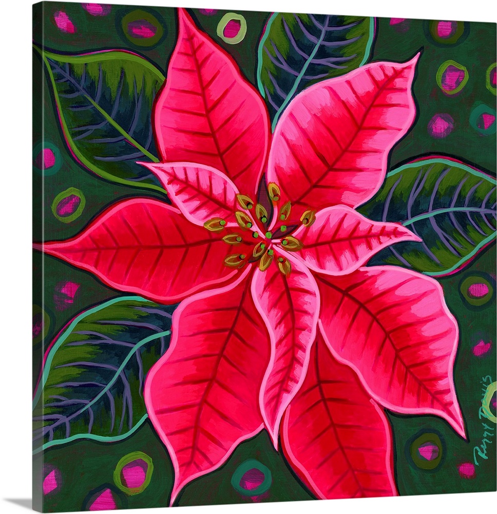 Pink Poinsettia 2