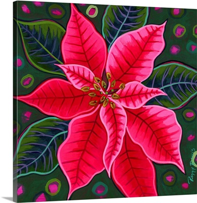 Pink Poinsettia 2