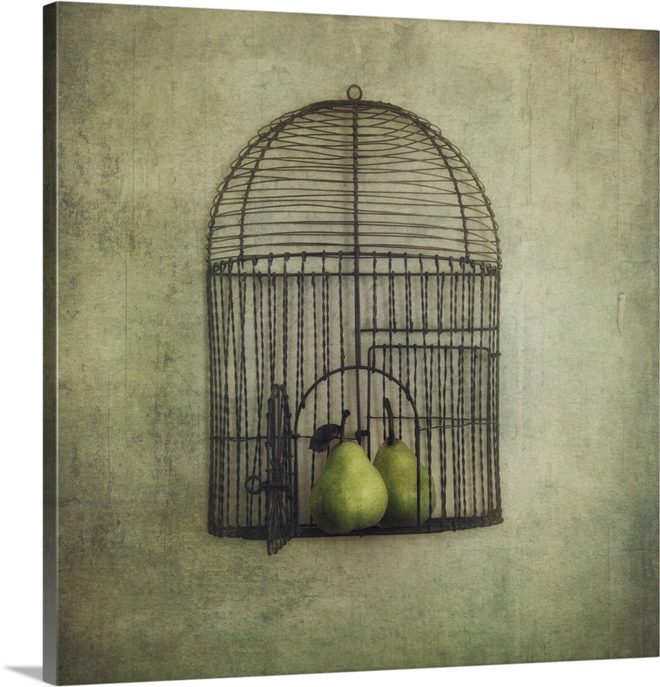 An artistic photograph of a birdcage with an open door with pears siting inside it.