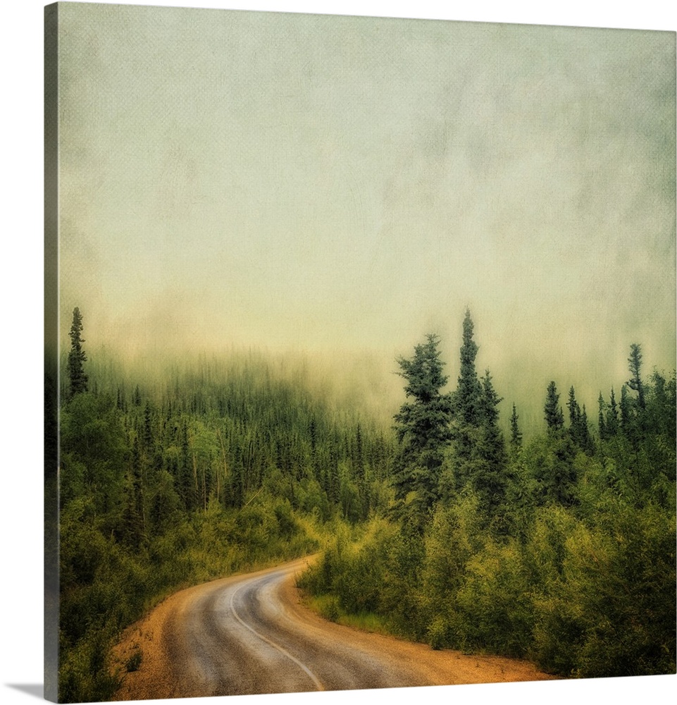 An artistic photograph of a misty foggy view of a forest road.