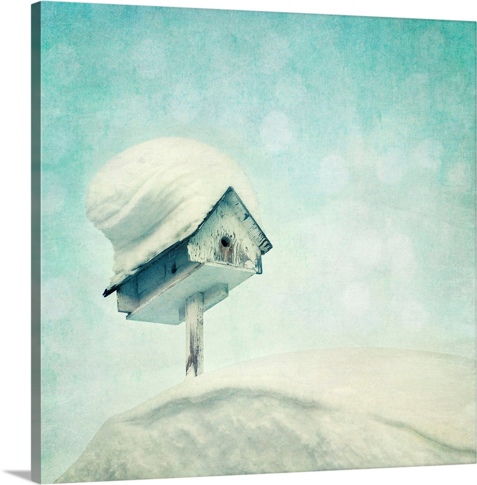 A birdhouse on a roof, snowcovered.  The term snowbird is used to describe people from the U.S. Northeast, U.S. Midwest, o...