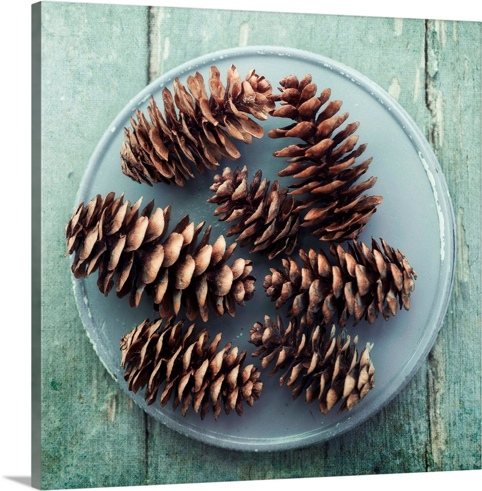 A simple still life with pine cones