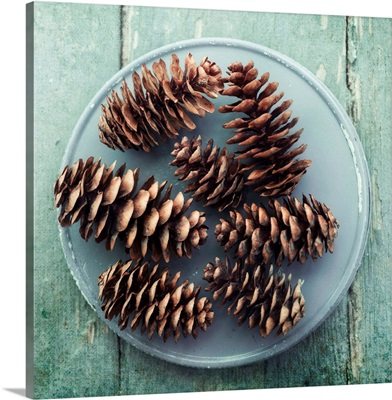 Still Life With Seven Pine Cones