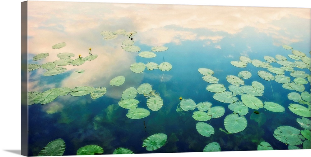 Still waters run deep - water surface with water lily leaves and reflection of cloud and sky