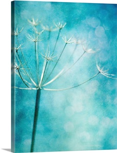 Wintercolors image thumbnail