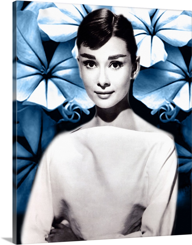 Audrey Hepburn B | Canvas Wall Art | 16x20 | Great Big Canvas