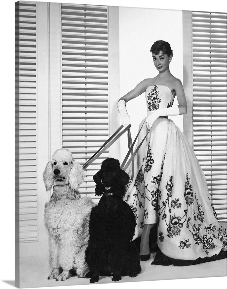 Wall art of Audrey Hepburn holding the leashes of two dogs.