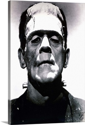 Bela Lugosi B&W Frankenstein Meets Wolfman