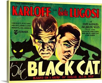 Black Cat 5
