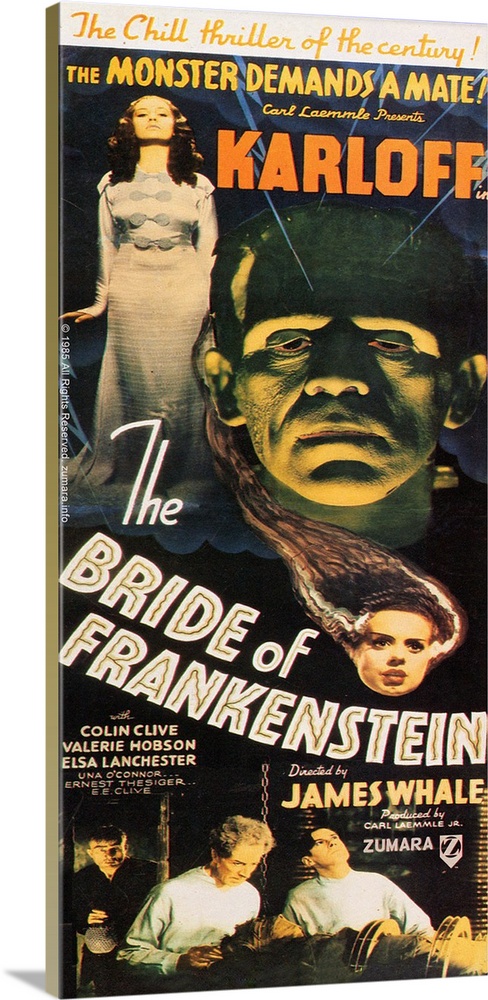 Bride Of Frankenstein 3