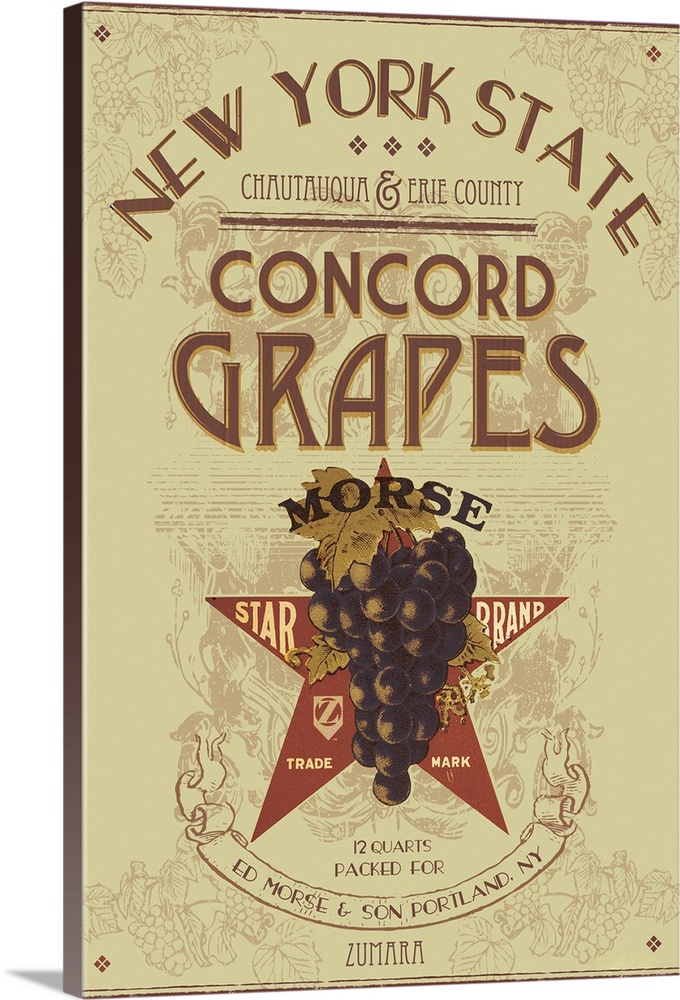 NY Concord Grapes