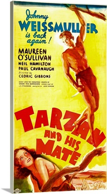 Tarzan and His Mate 3