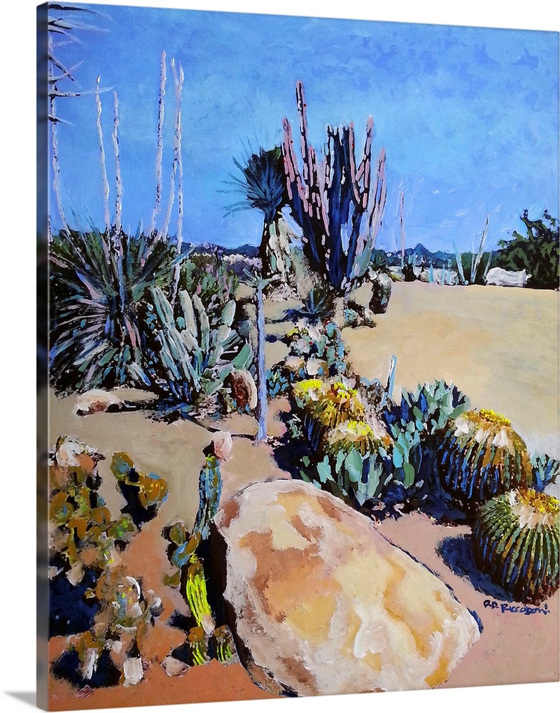 Cactus at the Desert Garden in Balboa Park San Diego, California, painting by RD Riccoboni. Cactus specimens in the histor...
