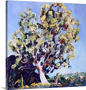 eucalyptus tree