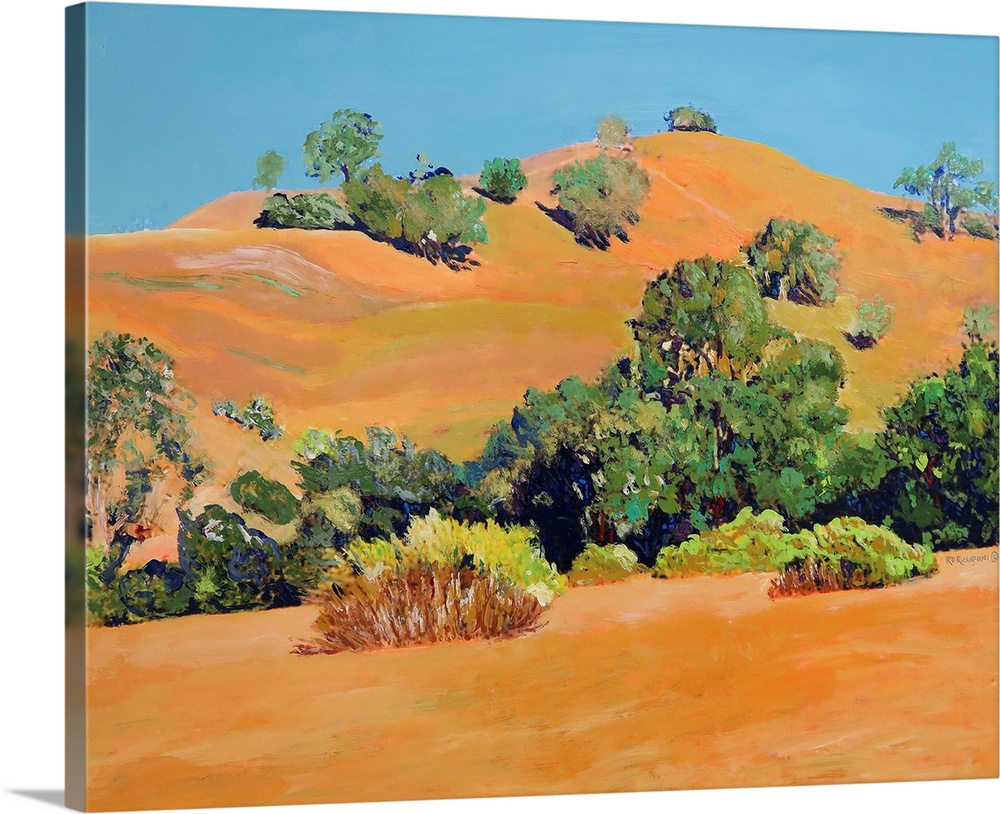 Golden State - California Foothills, by RD Riccoboni.  San Diego county California. Green and gray tones of ancient live o...