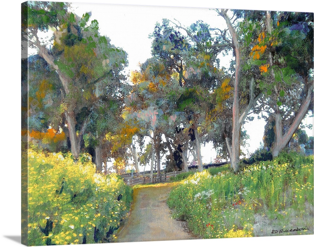 Meadow in cabrillo canyon, Balboa Park, San Diego, California by RD Riccoboni.