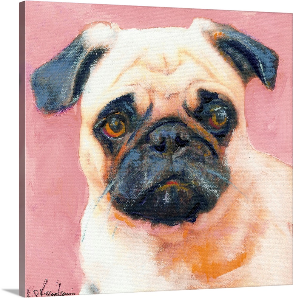 Square painting of a Pug puppy on a pink background.