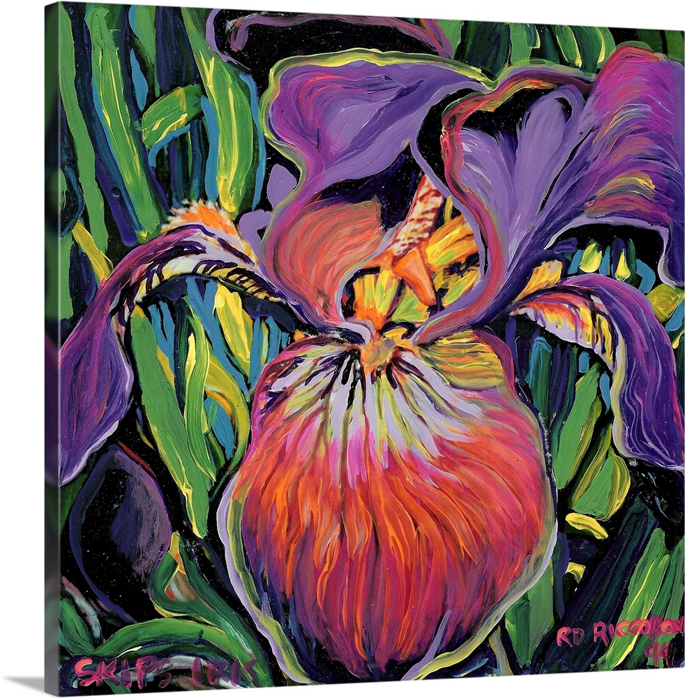 Purple Iris, botanical painting by artist RD Riccoboni, in purples, greens, pinks, yellows and blues. Where will you put t...