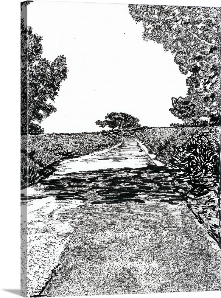 The road at Torrey Pines Reserve in San Diego, California, pen and ink drawing, original art by RD Riccoboni.  The old aba...