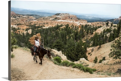 A burro rider on a trail in Bryce Canyon National Park, Utah