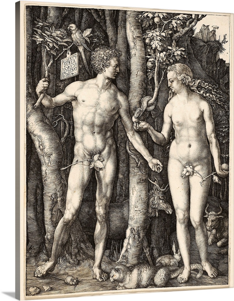 Albrecht Dureros engraving, Adam and Eve, exhibits the extraordinary detail and tonal range of which he was capable. The p...