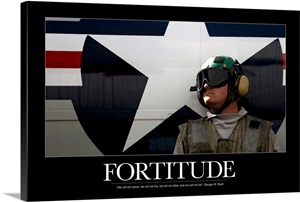 Air Force Motivational Poster: Fortitude Photo Canvas Print | Great Big ...