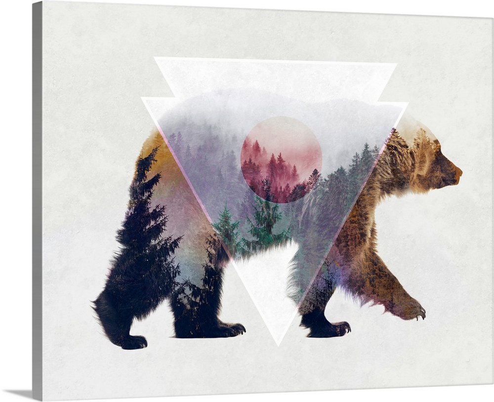 Double exposure artwork of a brown bear and an evergreen forest.