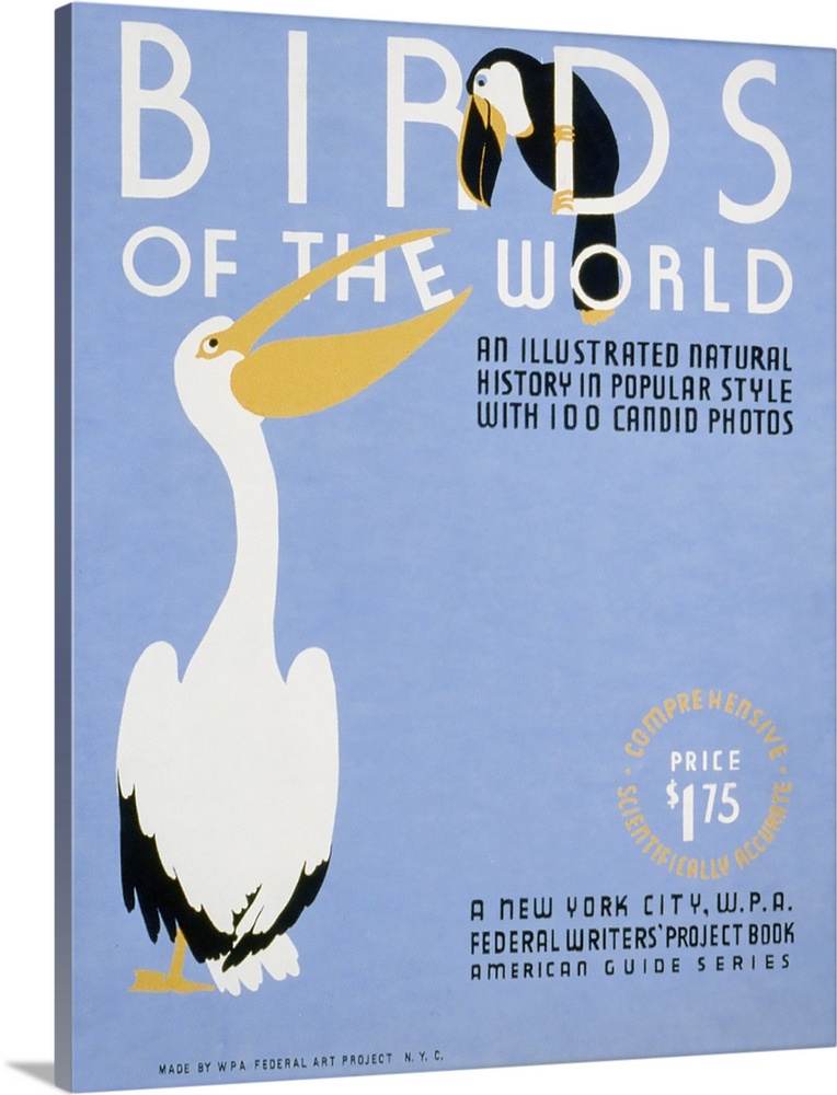 Birds of the World: An illustrated natural history in popular style with 100 candid photos. A New York City, W.P.A. Federa...