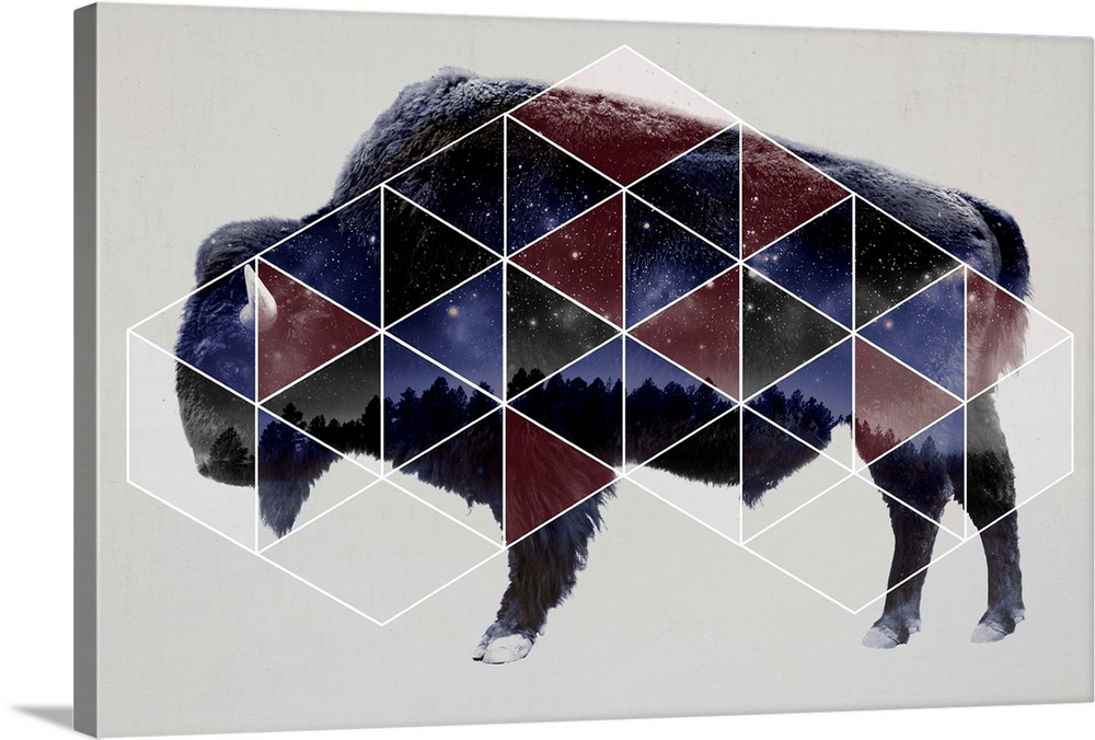 Double exposure artwork of a bison in profile with a triangular pattern and the night sky.