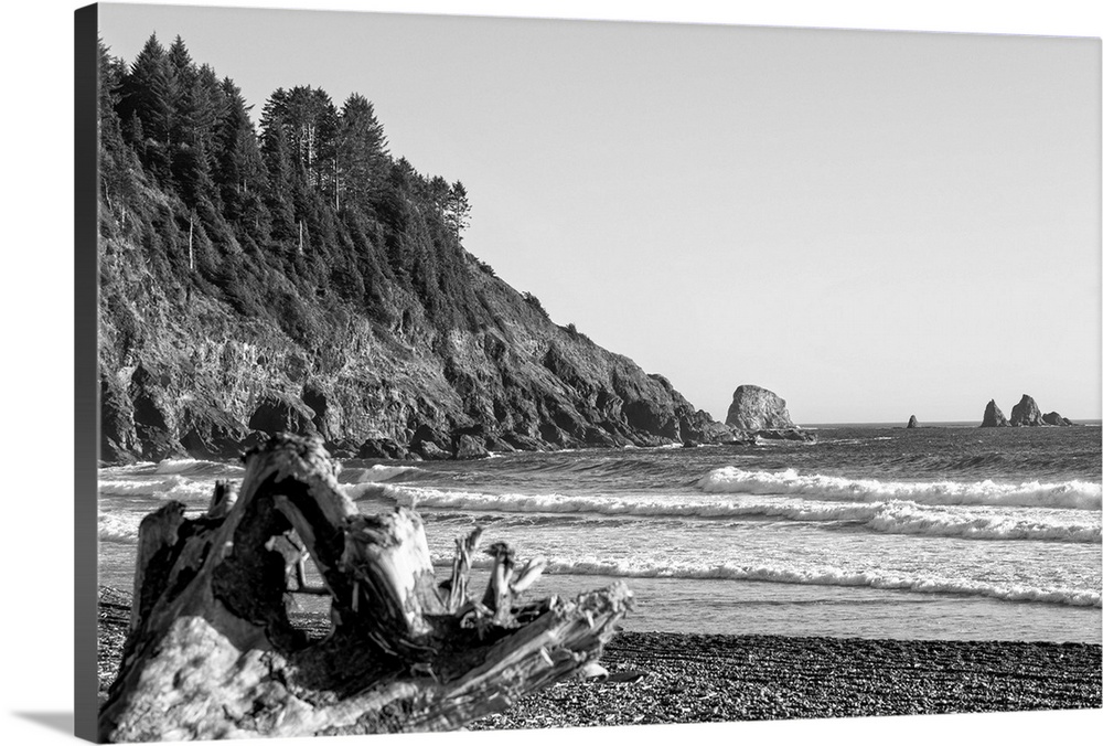 Black and white photograph of the shore at La Push Beach in Washington.