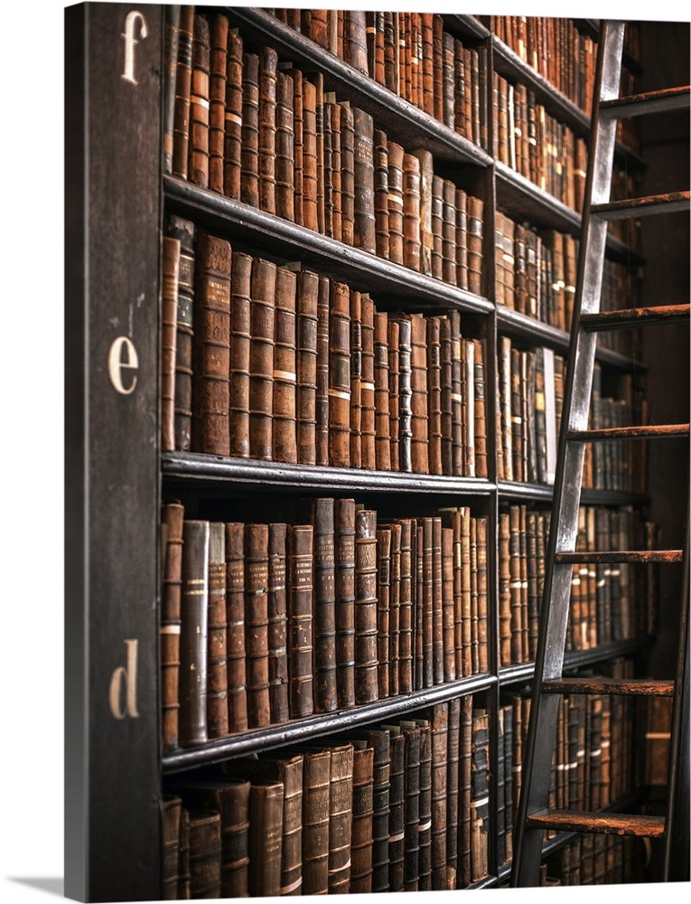 Book Shelves and Ladder, Trinity College Library, Dublin, Ireland, UK Vertical Wall Art