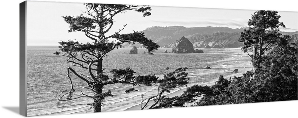 Black and white panoramic landscape photograph of Cannon Beach through the trees with Haystack Rock in the distance, Orego...
