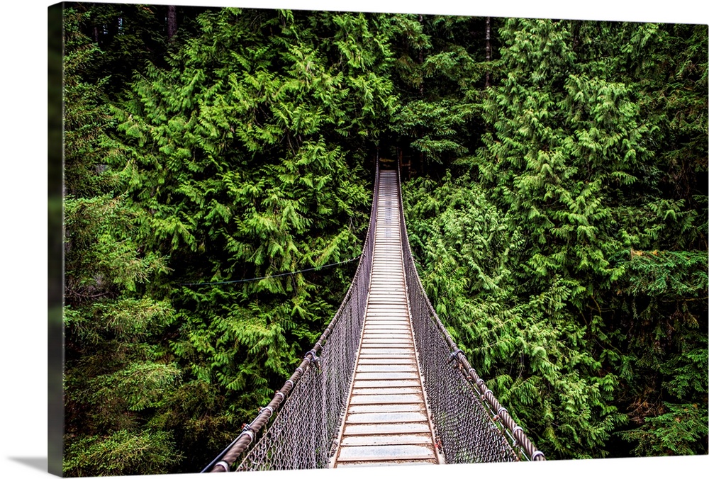 View of Capilano Suspension Bridge in  North Vancouver, British Columbia, Canada.