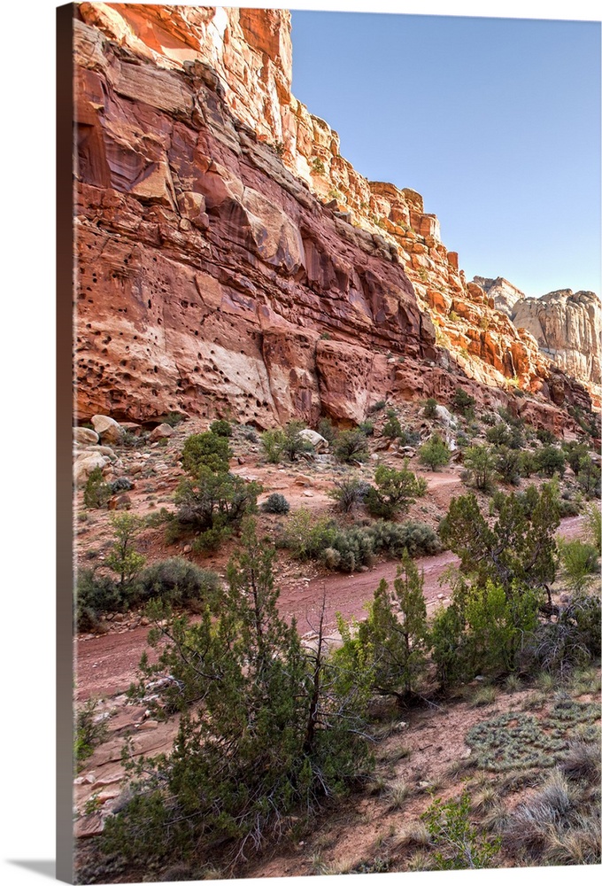 Capitol Gorge Road In Capitol Reef National Park, Utah Wall Art, Canvas ...