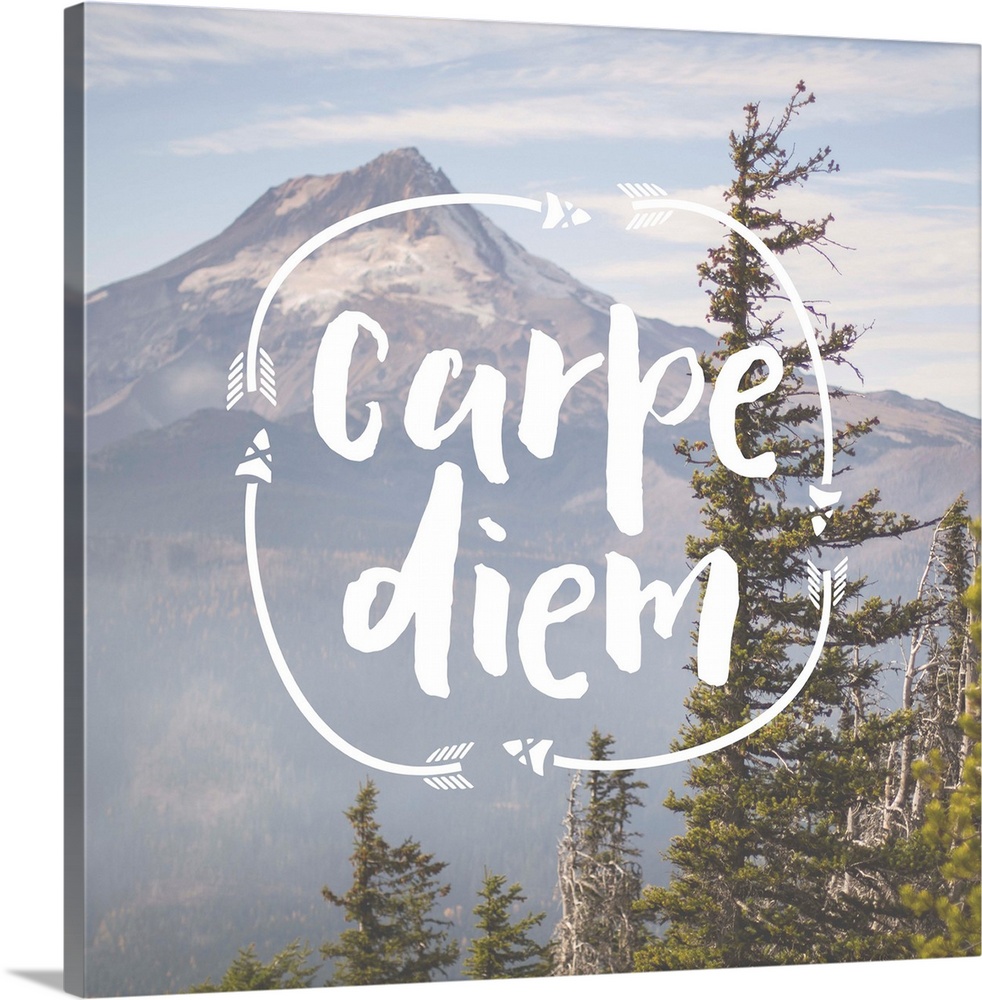 "Carpe Diem" decorated with arrows over an image of a mountain and pine trees.