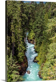 Cheakamus River British Columbia Canada Great Big Canvas