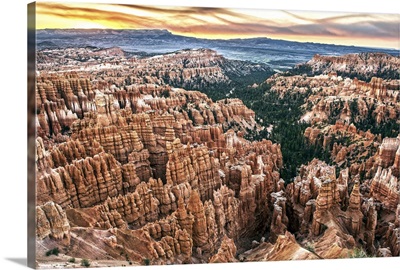Colorful hoodoos and pine trees at sunset in Bryce Canyon, Utah