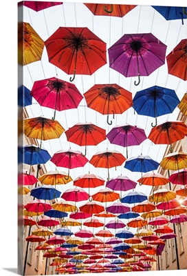 Colorful Umbrellas in Bath, England, UK