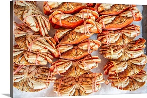 Crab At Farmer's Market In Seattle, Washington image thumbnail