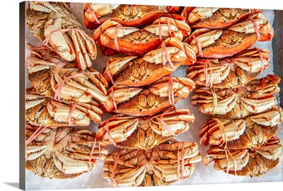 Crab At Farmer's Market In Seattle, Washington