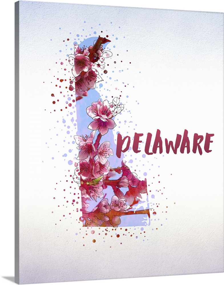 Outline of the state of Delaware filled with its state flower, the Peach Blossom.