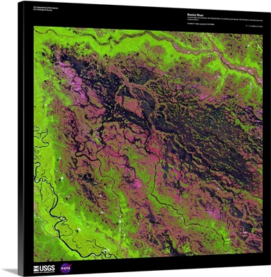 Demini River - USGS Earth as Art