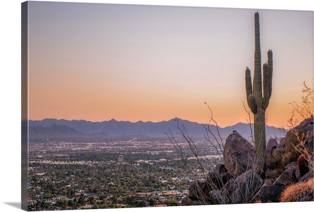 Distant View Of Phoenix with a Saguaro Cactus, Arizona.