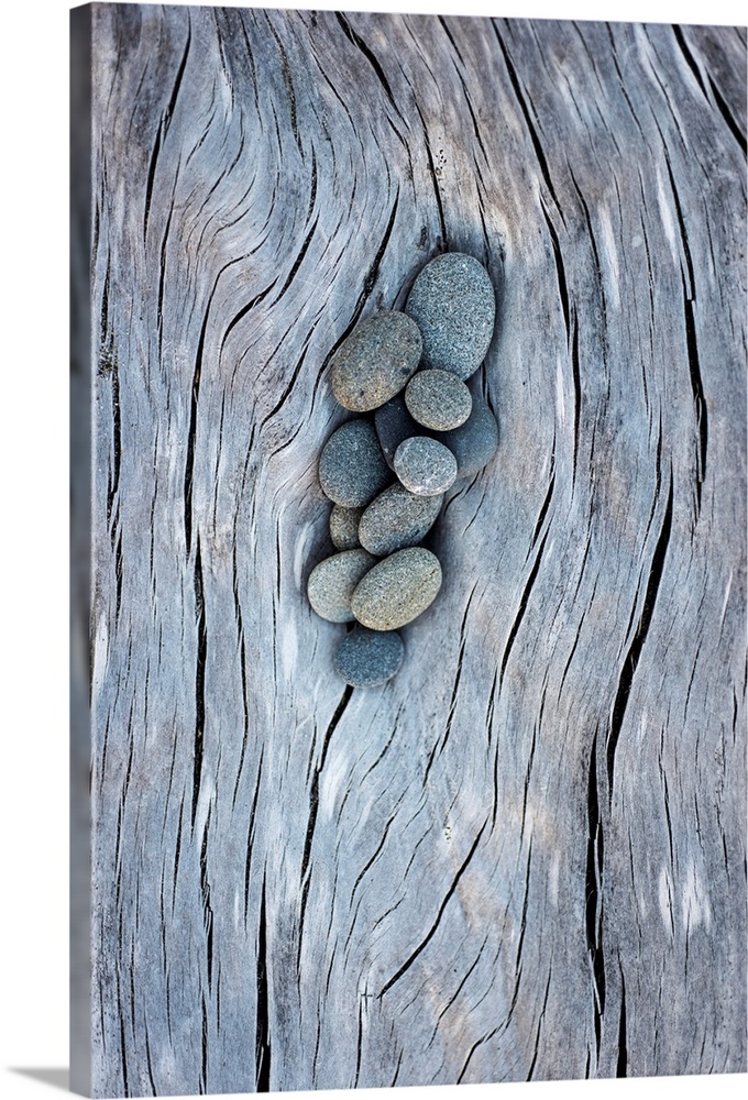 Photograph of smooth rocks piled on top of a piece of driftwood on the pacific northwest coast.