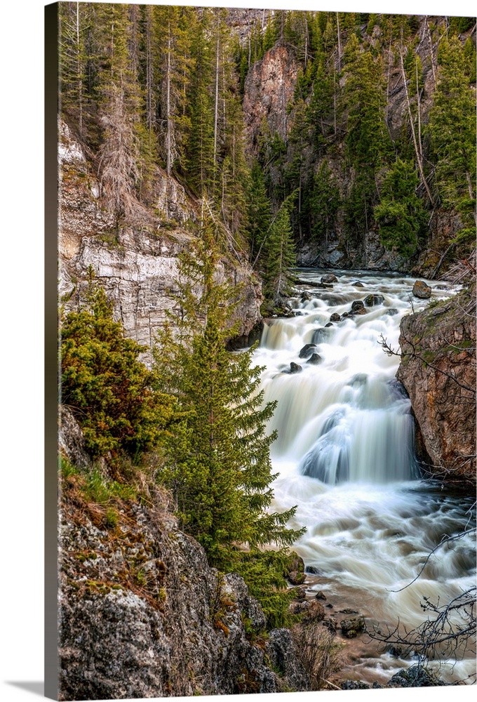 Tranquil waterfall in Yellowstone National Park.