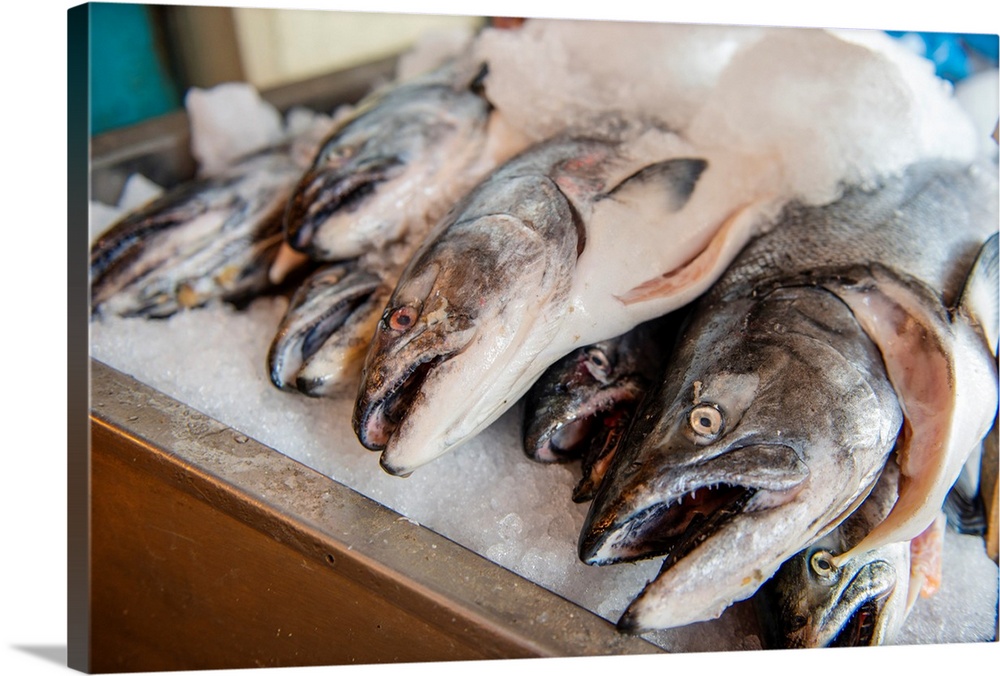Stacks of fish lie on a bed of ice in the farmer's market, Seattle, Washington.