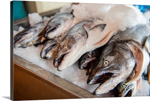 Fish At Farmer's Market In Seattle, Washington image thumbnail