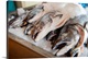 image thumbnail of Stacks of fish lie on a bed of ice in the farmer's market, Seattle, Washington.